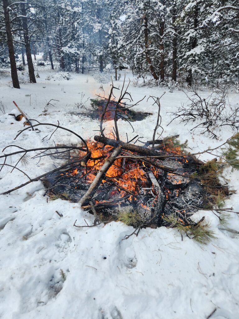 Fire Mitigation & Community Preparedness 20250119 124741